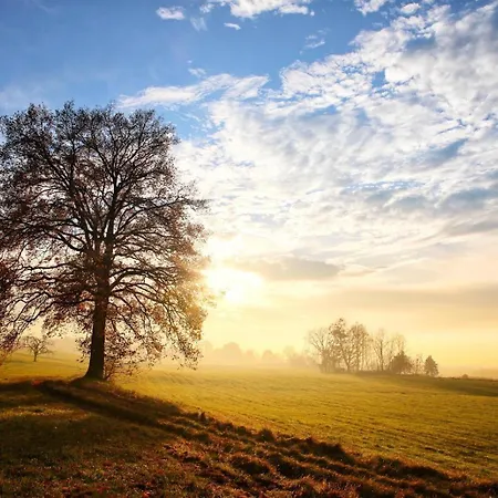 Im Luftkurort Kisslegg, Frisch Renoviert, Balkon, Boxspringbetten, Smarttv, Playstation, Kaffevollautomat, Ruhig, Familienfreundlich Appartement
