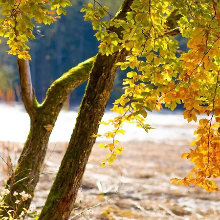 Appartement Im Luftkurort Kisslegg, Frisch Renoviert, Balkon, Boxspringbetten, Smarttv, Playstation, Kaffevollautomat, Ruhig, Familienfreundlich *