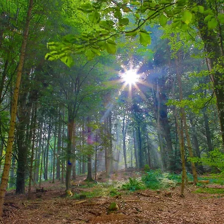 Appartement Im Luftkurort Kisslegg, Frisch Renoviert, Balkon, Boxspringbetten, Smarttv, Playstation, Kaffevollautomat, Ruhig, Familienfreundlich Kißlegg