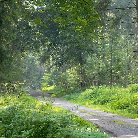 Im Luftkurort Kisslegg, Frisch Renoviert, Balkon, Boxspringbetten, Smarttv, Playstation, Kaffevollautomat, Ruhig, Familienfreundlich Appartement