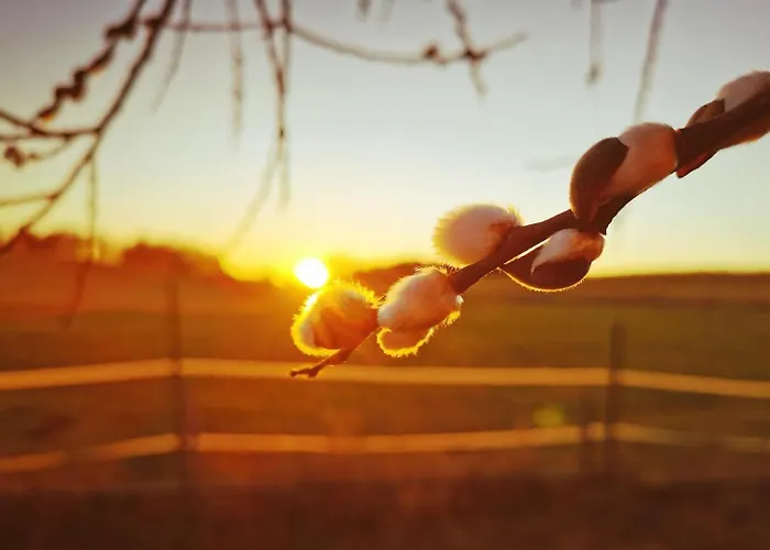 Im Luftkurort Kisslegg, Frisch Renoviert, Balkon, Boxspringbetten, Smarttv, Playstation, Kaffevollautomat, Ruhig, Familienfreundlich *