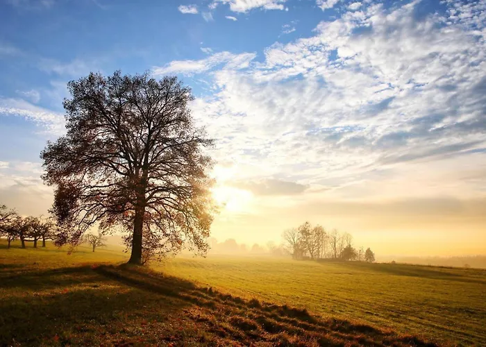 Im Luftkurort Kisslegg, Frisch Renoviert, Balkon, Boxspringbetten, Smarttv, Playstation, Kaffevollautomat, Ruhig, Familienfreundlich Appartamento