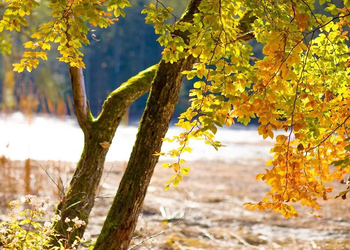 Appartamento Im Luftkurort Kisslegg, Frisch Renoviert, Balkon, Boxspringbetten, Smarttv, Playstation, Kaffevollautomat, Ruhig, Familienfreundlich *