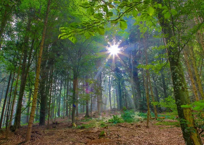 Appartamento Im Luftkurort Kisslegg, Frisch Renoviert, Balkon, Boxspringbetten, Smarttv, Playstation, Kaffevollautomat, Ruhig, Familienfreundlich Kißlegg