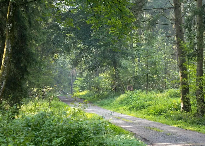 Im Luftkurort Kisslegg, Frisch Renoviert, Balkon, Boxspringbetten, Smarttv, Playstation, Kaffevollautomat, Ruhig, Familienfreundlich Appartamento